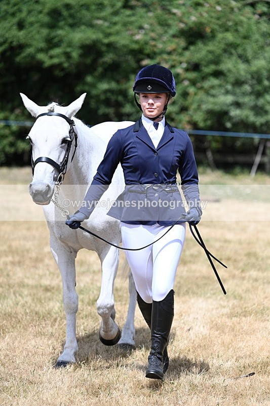 WJ7_1607 - Class 4 Prettiest Mare up to 14.2hh in hand