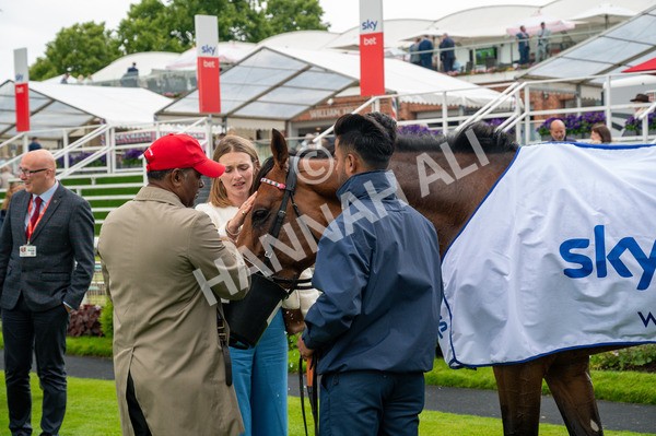 150624-Race 3-Klondike-4780 - Race 3 3.00pm Sky Bet Race To The Ebor Grand Cup Stakes