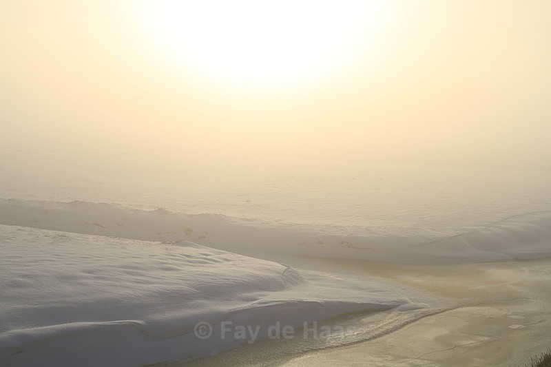  - Misty Morning