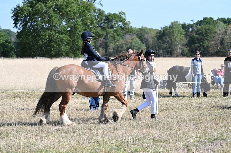 WJ7_2998 - Class 8 Ridden Tack & Turnout