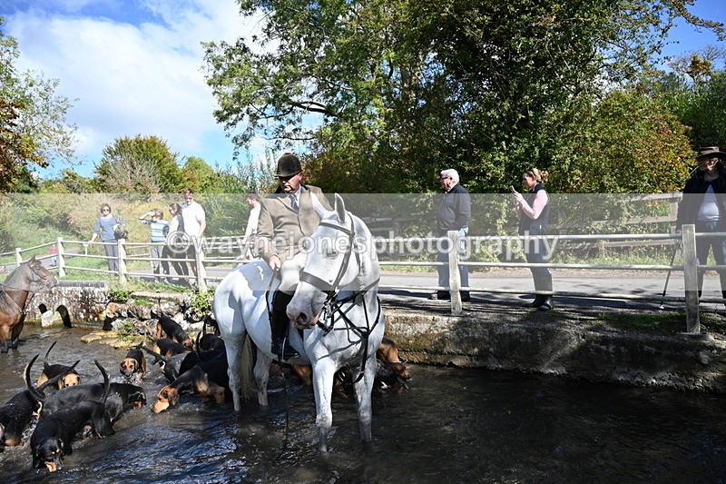 WJ7_5996 - Hounds Water Crossing