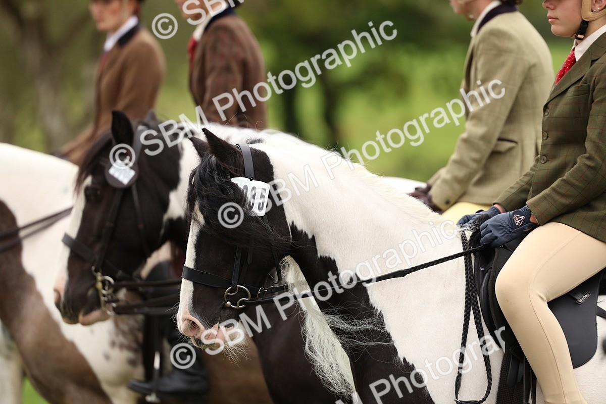 SBM_64528 - S58 - Coloured Pony Ridden