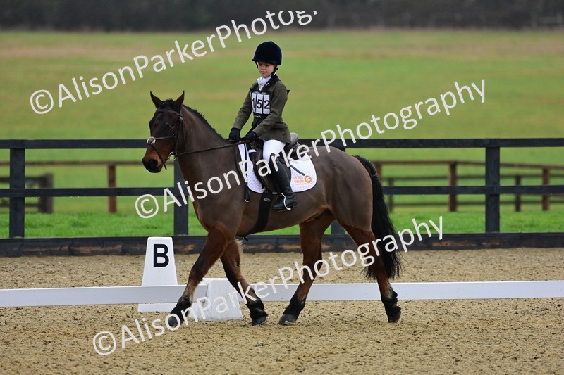 20260125-0621 - Class 9b - Walk Trot Unassisted