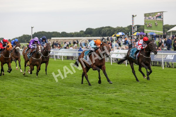 120724-Race 6-The Coffee Pod-1813 - Race 6 4.55pm Irish Thoroughbred Marketing Handicap