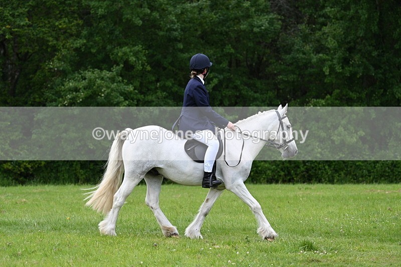 WJ7_2605 - Class 12A Coloured Class