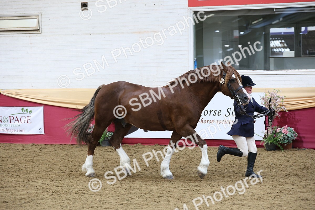 SBM_23662 - class 906 - Supreme Final - Ridden Pre Vet