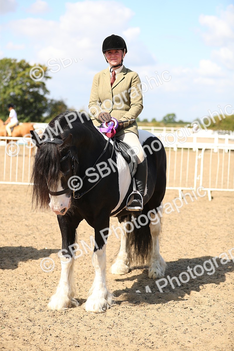 SBM_03296 - Class 44 Riding Club Horse/ Pony