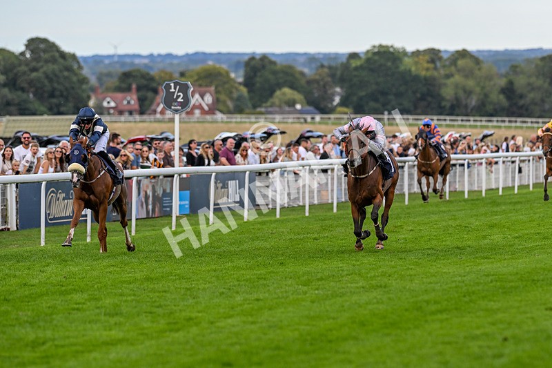 300826-Race 7-Marbuzet-9933 - Race 7 5.05pm Napoleons Casino And Restaurant Hull Apprentice Handicap