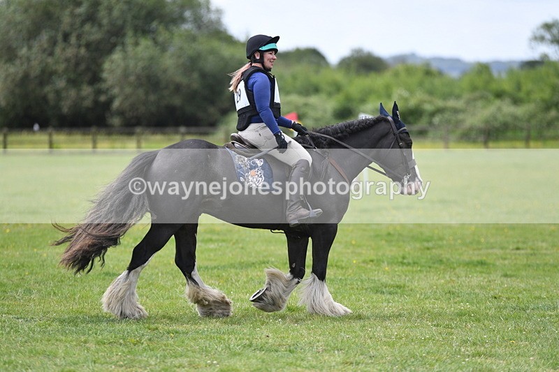 WJ5_3120 - Class 4 60cm