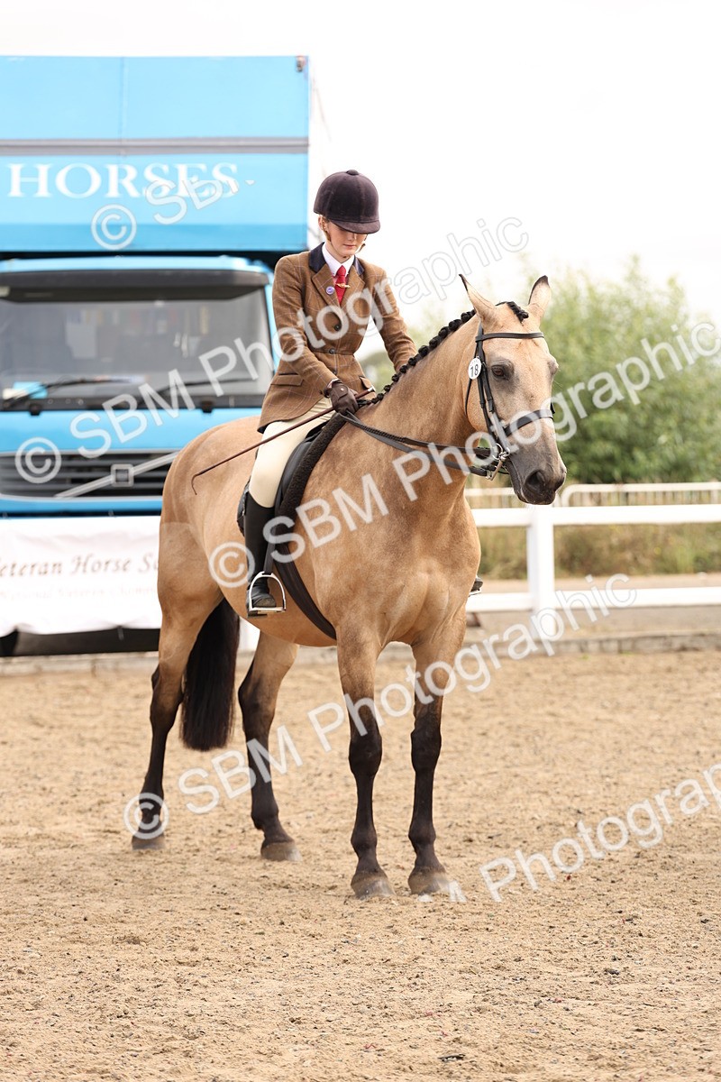 SBM_01639 - Class 52 - Ridden Veteran