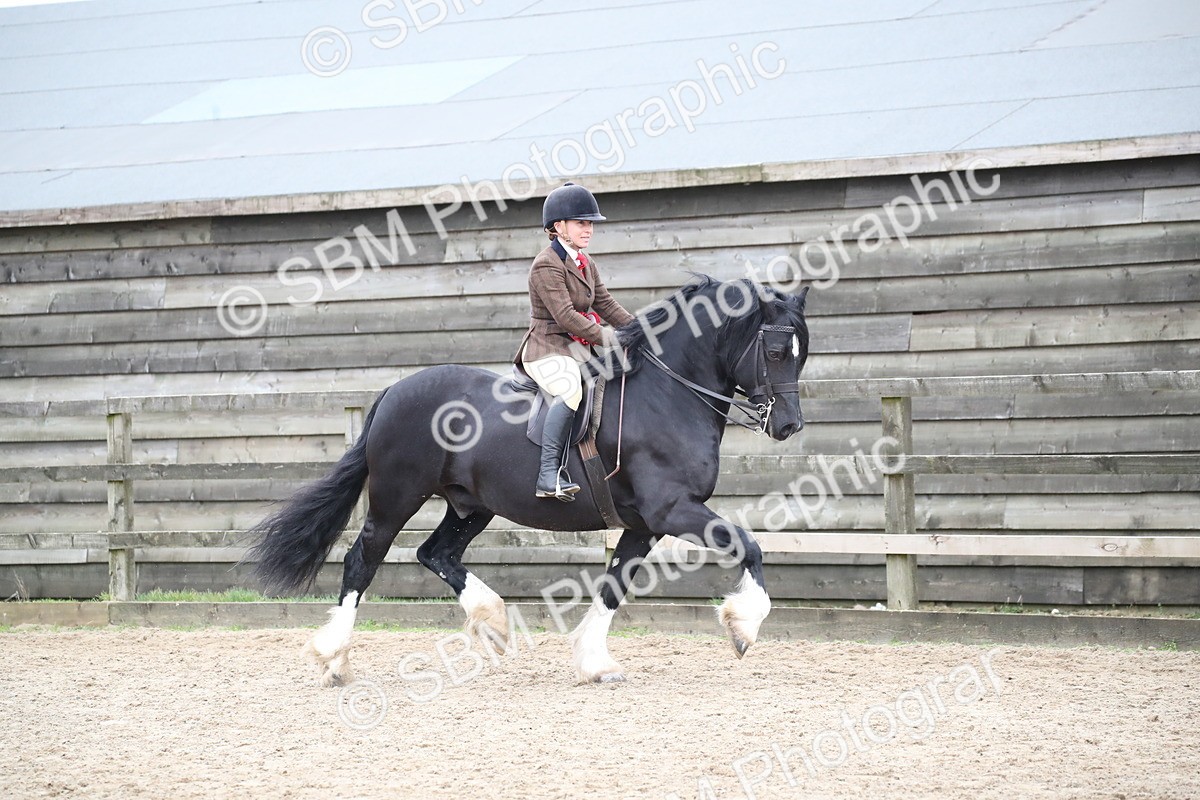 SBM_007129 - Class 10-13 - RIHS Small Large Breeds
