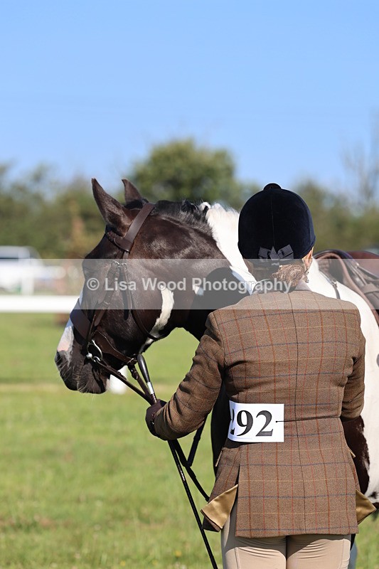 IMG_1405 - Class 28: Ridden Plaited Coloured Pony