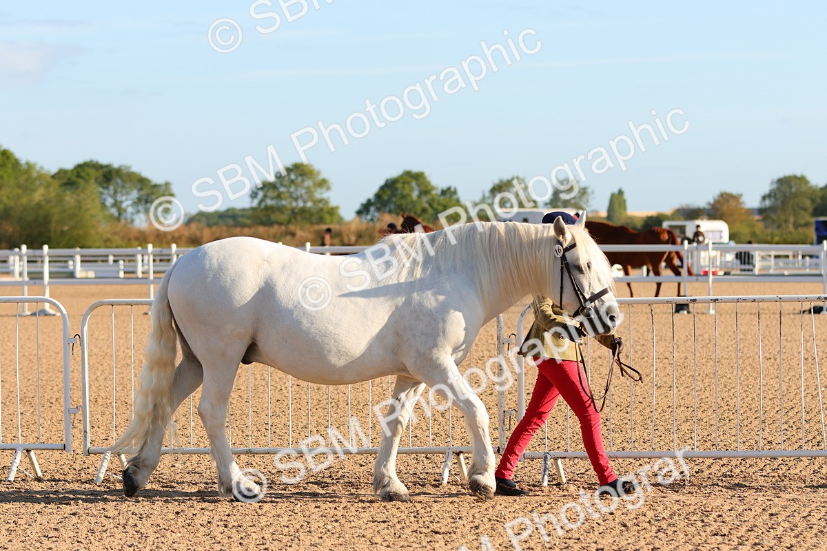 SBM_07964 - Class 201 - Best Turned Out - IH
