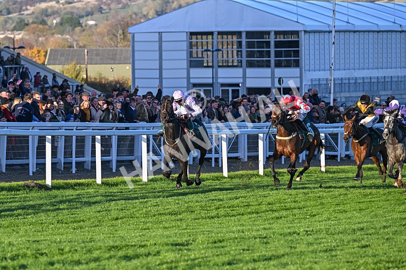 251025-Race 7-Chicker-0306 - Race 7