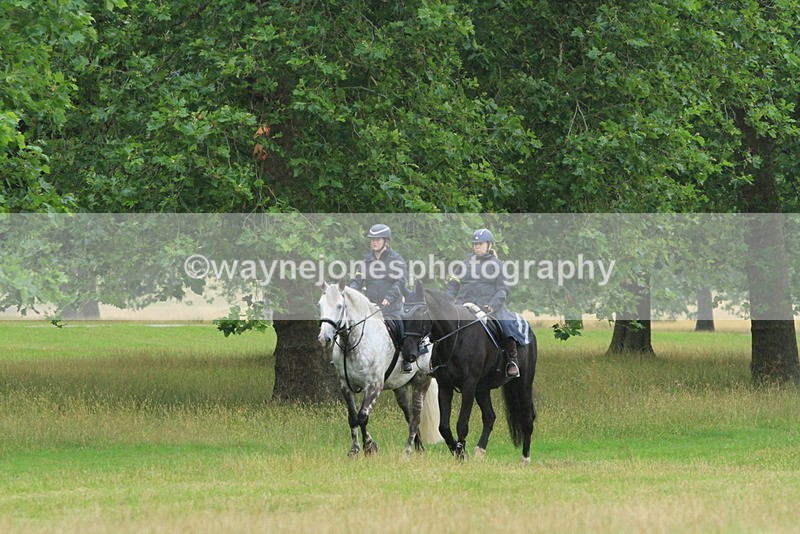 IMF_1495 - Time at Castle Jump 09:18 to 10:15