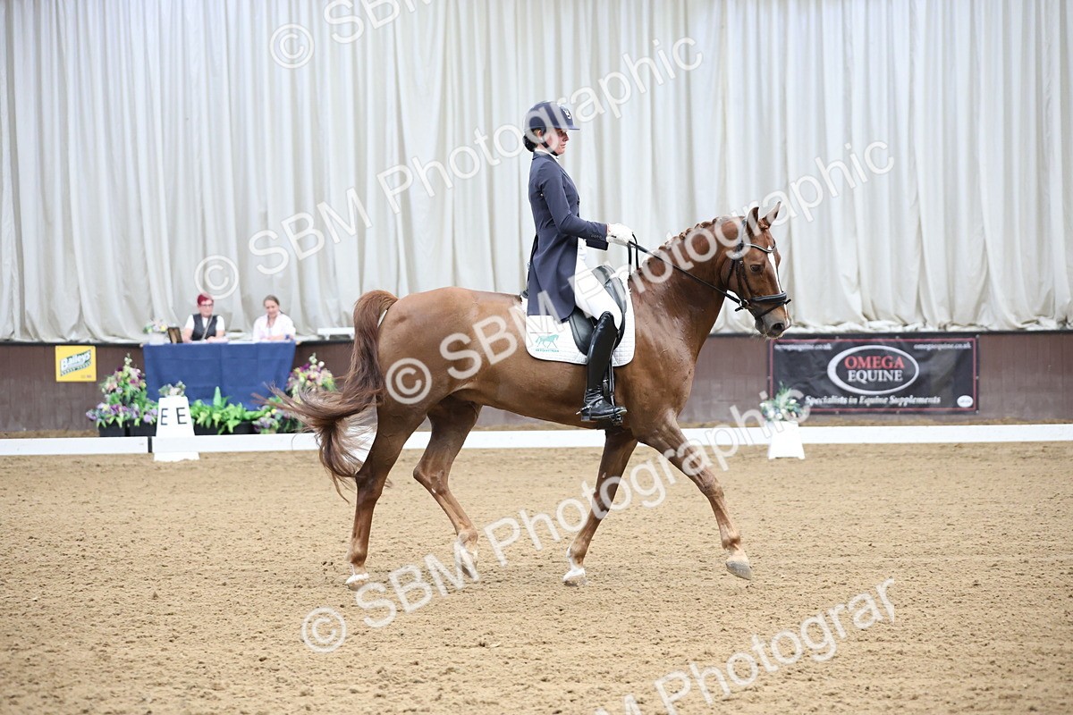 SBM_004352 - Class 9 - FEI Inter 1 Gold - 15.55-16.43