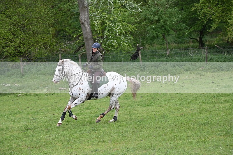WJ6_2871 - A Camera