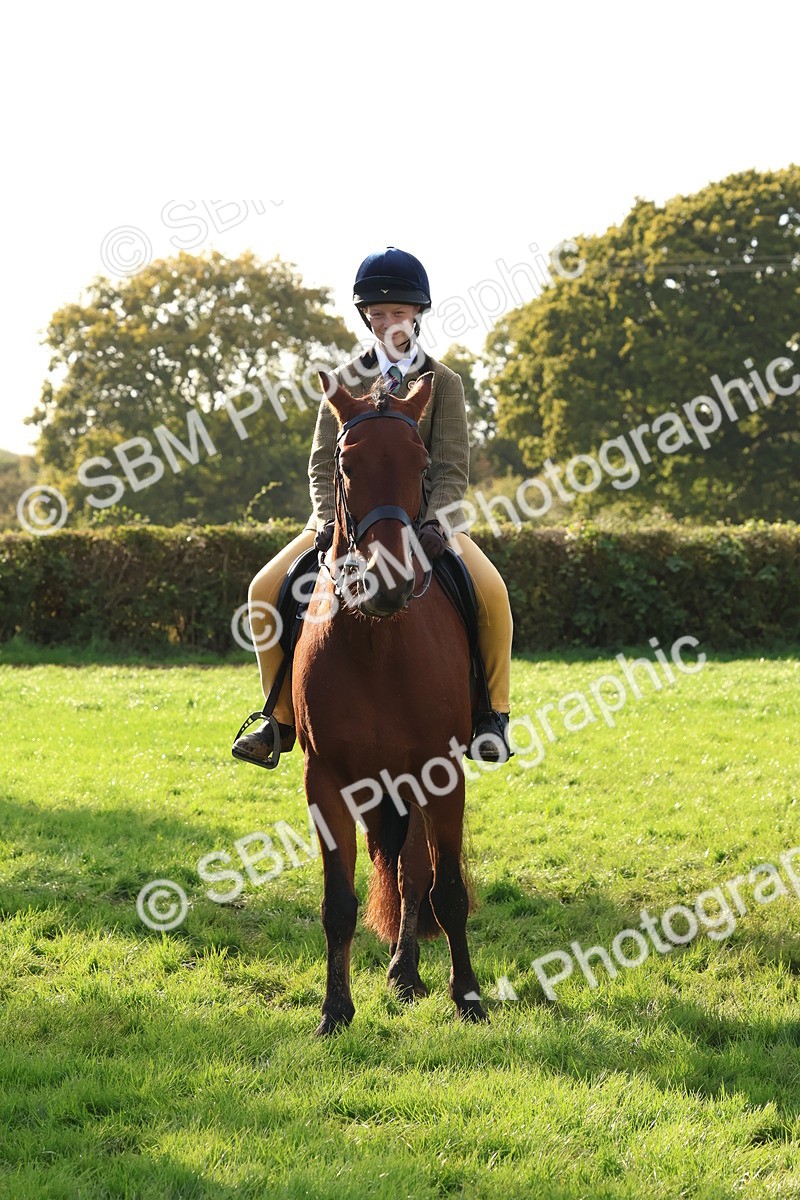 SBM_52625 - S13 - Pony Club Pony