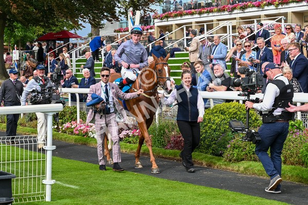 220824-Race 3-Thunder Run-6736 - Race 3 3.00pm Clipper Handicap
