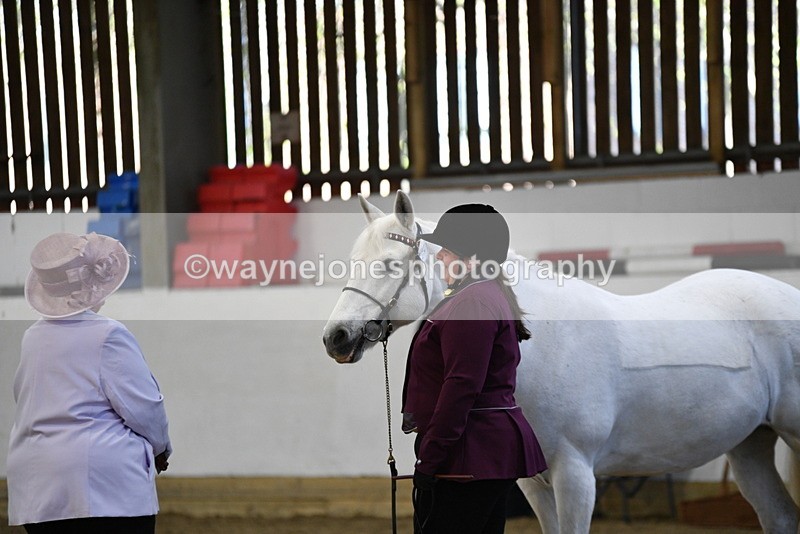 WJ5_3694 - Class 5 In Hand Veterans