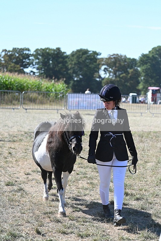 WJ7_1979 - Class 43 Best Six Legs (In hand)