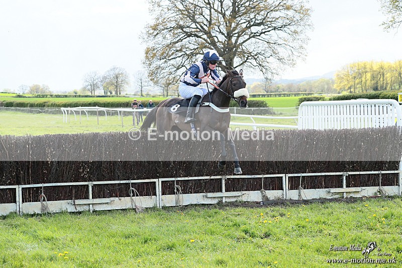 PtP 180426 1139 - Worcestershire Hunt PtP Chaddesley Corbett 18/04/26