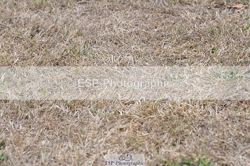 250820A-175345-12343 - Wednesday Presentations