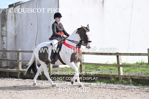BPP_7682 - RING 1  (RIDDEN HORSES / IN HAND / VETERAN ETC)