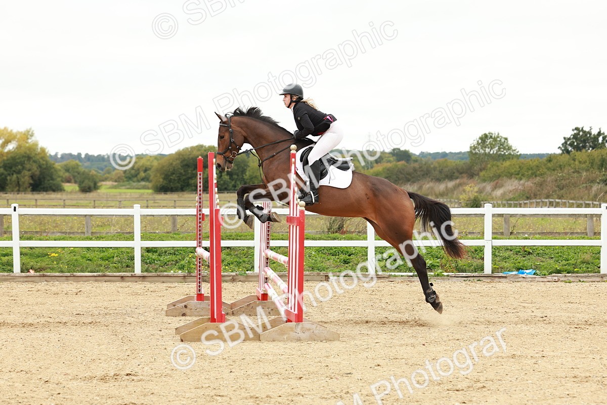 1I0A7082 - Class 2 - Senior British Novice