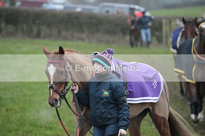 PtP 041222 0370 - Wheatland  Hunt PtP Chaddesley Corbett, Worcs 04/12/22