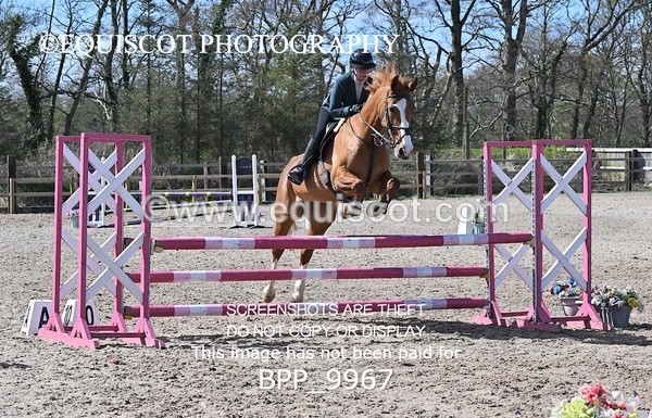 BPP_9967 - CLASS 19 SUN Senior British Novice/ 90cm Open