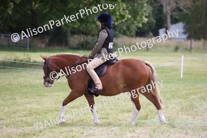 20260614-2109 - Class 21 - Novice Working Hunter Pony