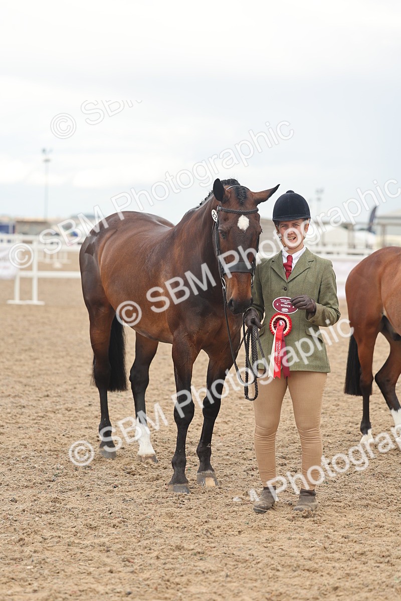 SBM_07939 - Class 28 - IH Veteran Horse