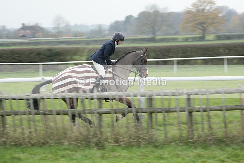 PtP 041222 0166 - Wheatland  Hunt PtP Chaddesley Corbett, Worcs 04/12/22