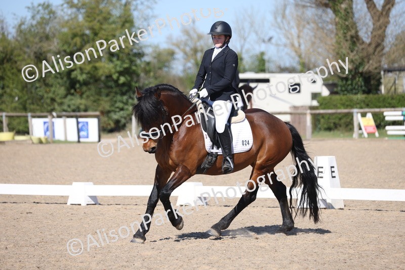 20250406-0543 - Class 4 - Novice 6