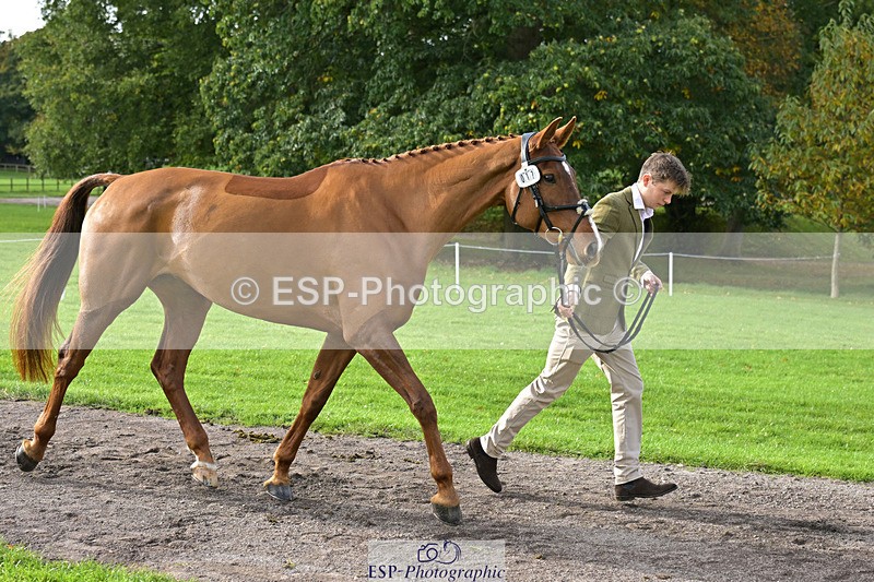 241023-132427-00266 - 017-Louis.Pern-CLASSICTOP.MISS.VIVIENNE