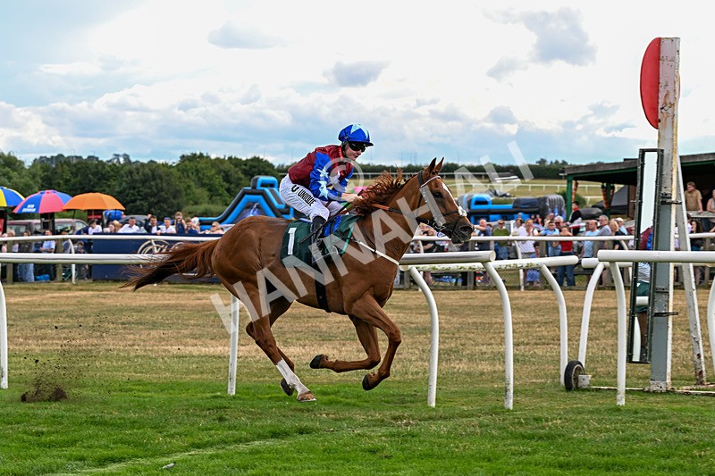 040826-Race 3-Free World-5112 - Race 3 15.15pm Jacky Rylance 60th Birthday Celebration Handicap