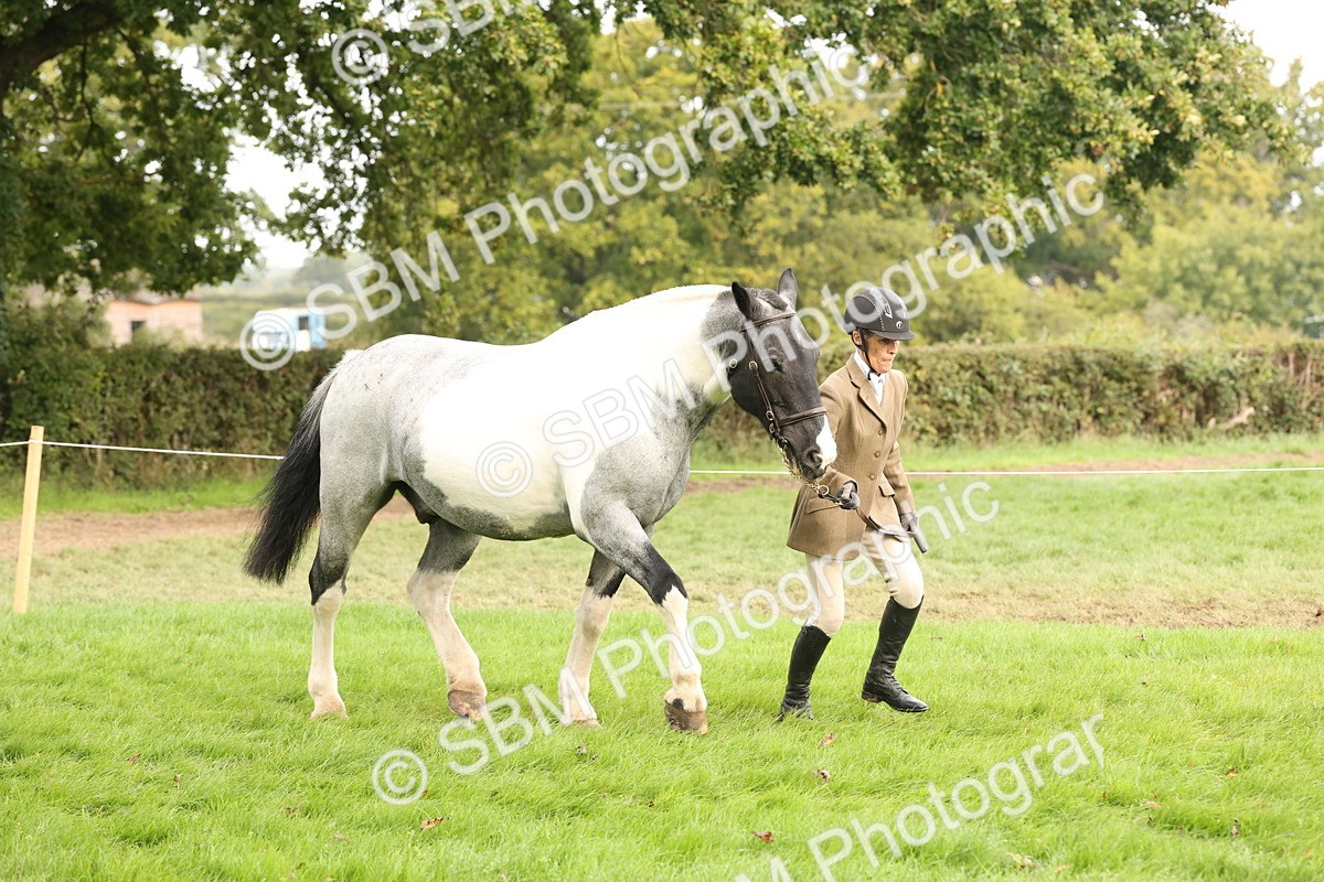 SBM_57500 - S56 - Show Cob in Hand