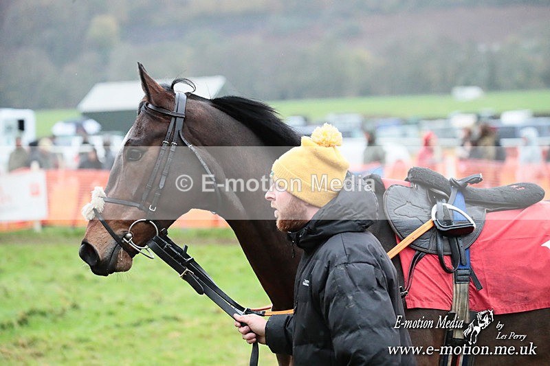 PtP 091125  1198 - Point-to-Point Wales Area Club Lower Machen, Gwent 09/11/25