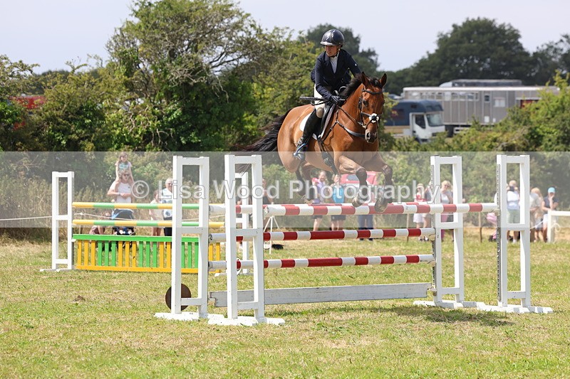 3E7A3426 - Class 10: Senior Foxhunter/1.20 open
