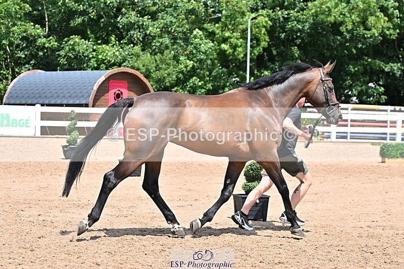 240718A-105313-01724 - Trot Up 1pm to 2pm