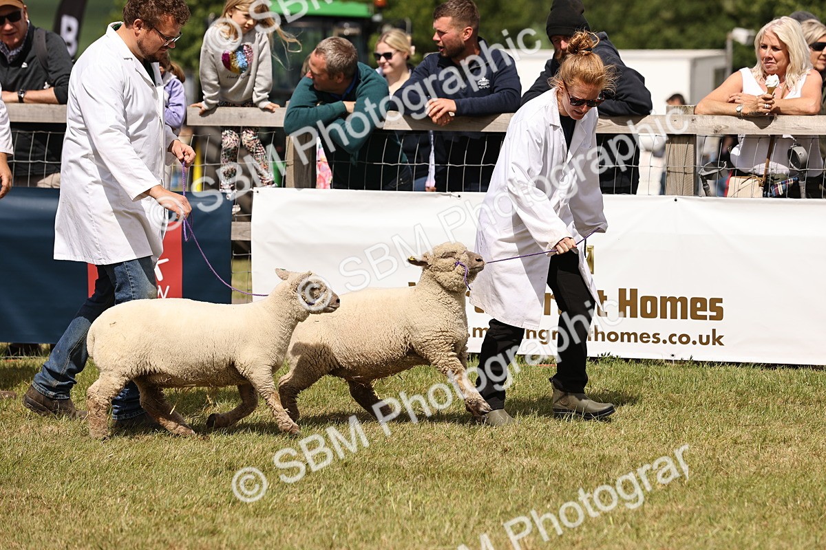 SBM_16844 - Grand Parade