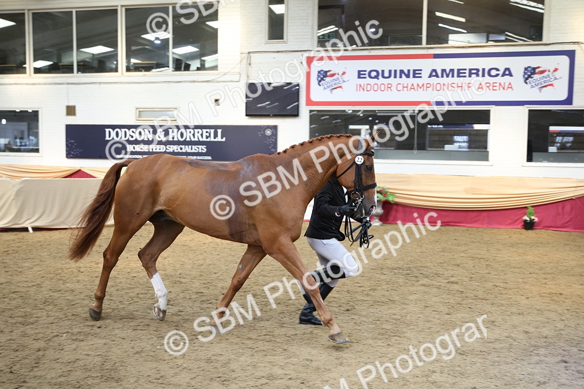 SBM_24292 - Class 905 - Supreme Final - Ridden Veteran