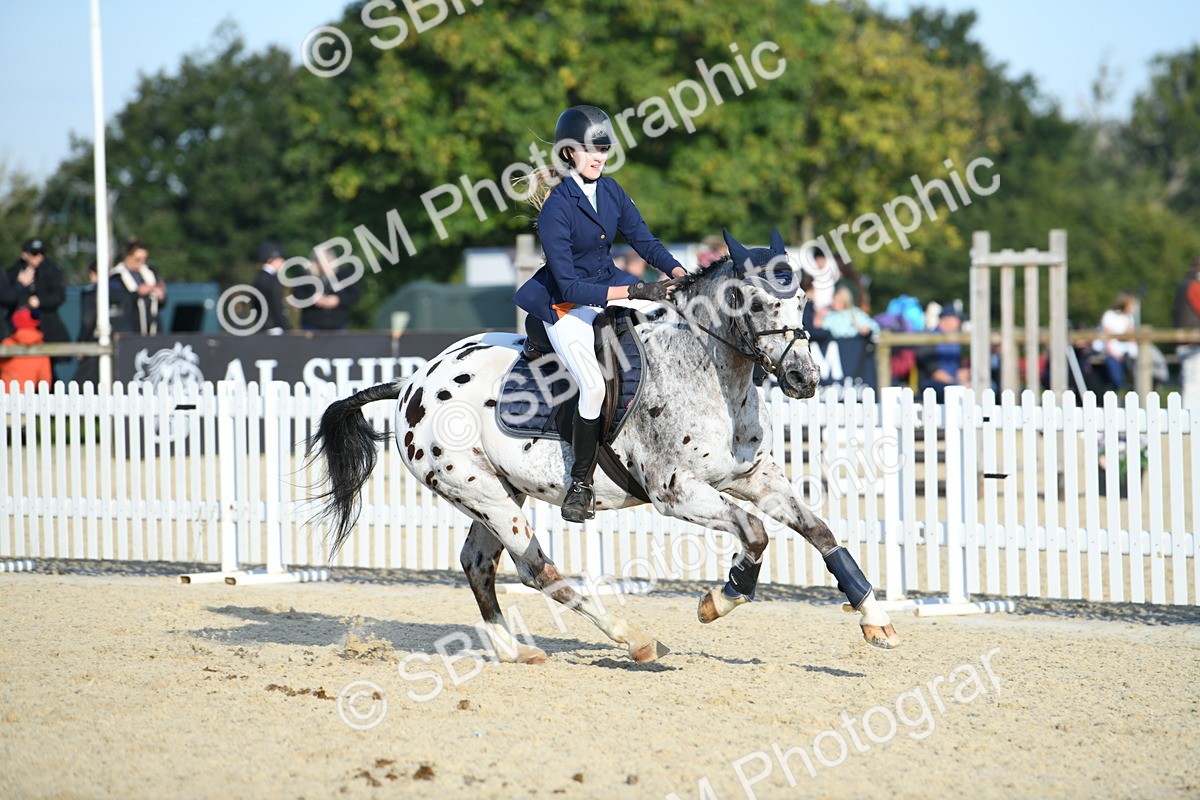 SBM_58331 - J24 - Junior Horse 75cm Championship