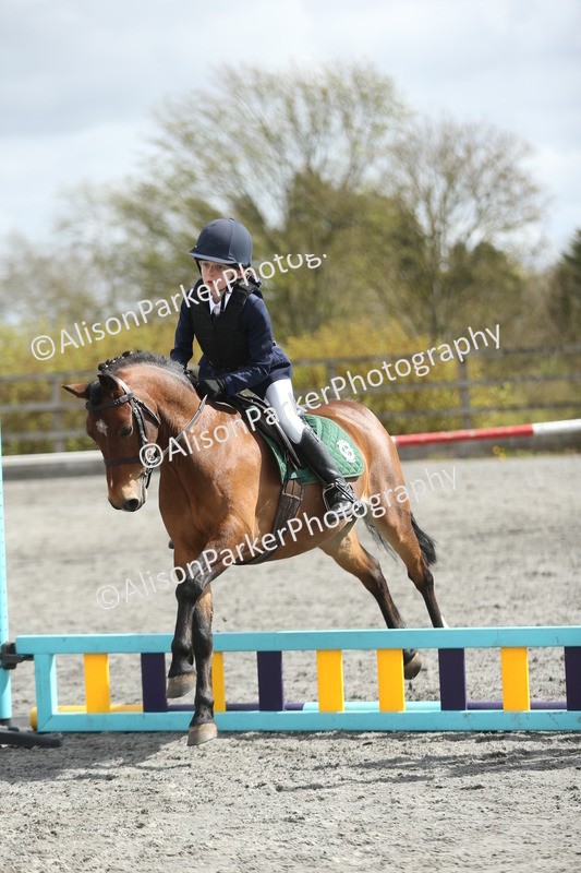 20260412-0759 - Show Jumping