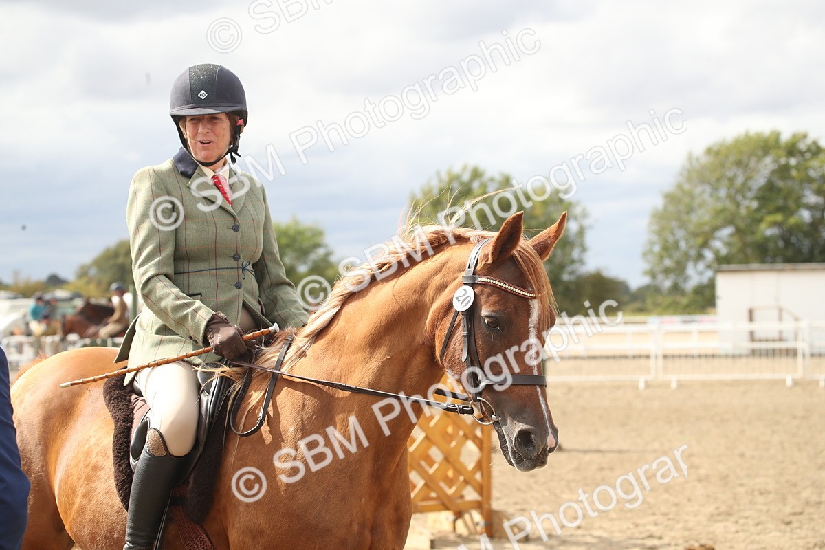 SBM_17846 - Class 508b - Working Veteran 70cm (20+)