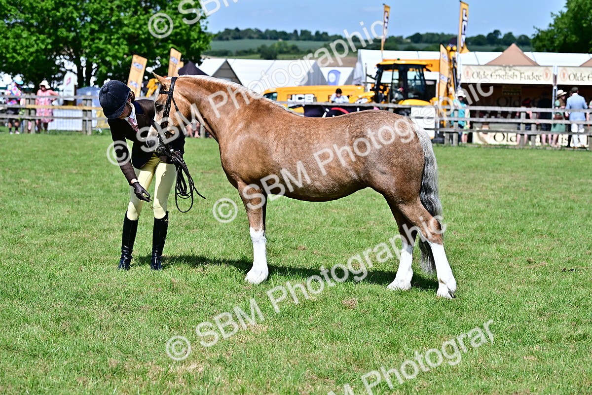 SBM_08051 - Class 61-62 - TSR  M&M Ridden Amateur of the Year