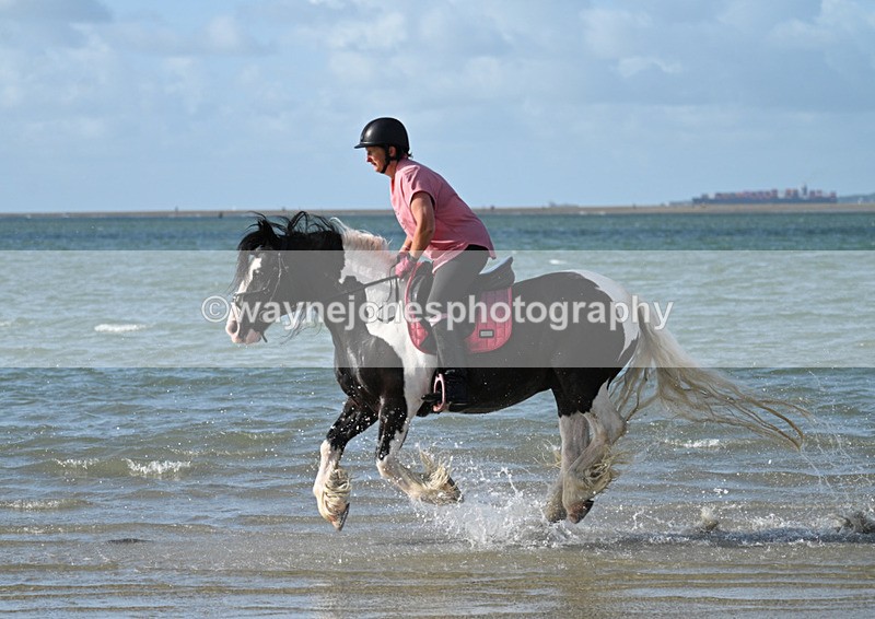 WJ7_3956 - Kellie & Churchill ... do Hayling Island 25-08-24