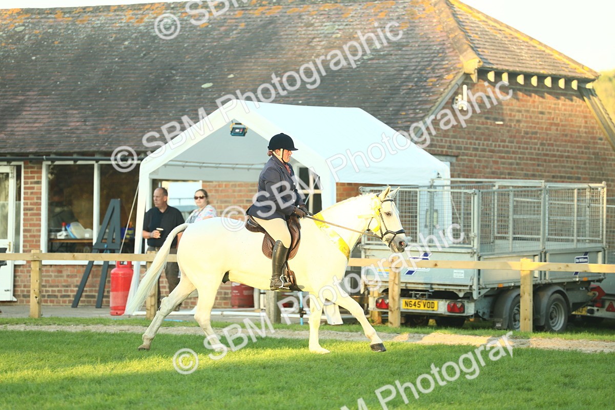 SBM_56589 - S14 - Riding Club Horse
