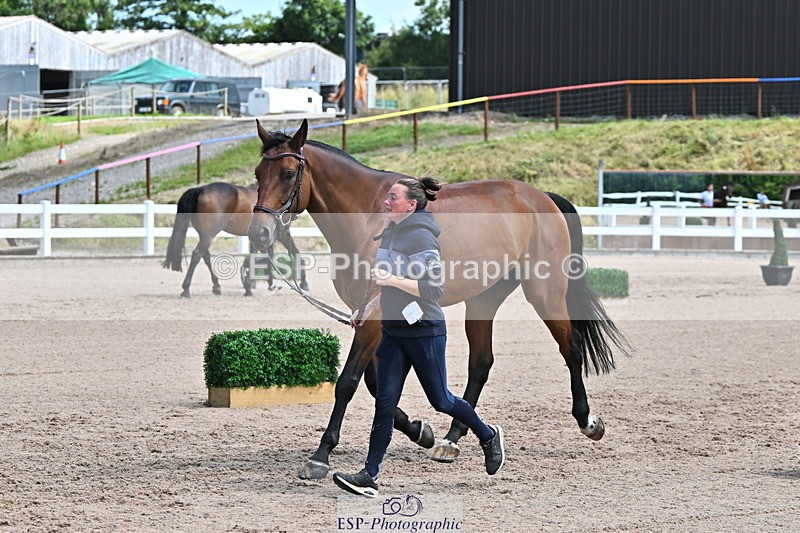 240718A-105250-01226 - Trot Up 12pm to 1pm